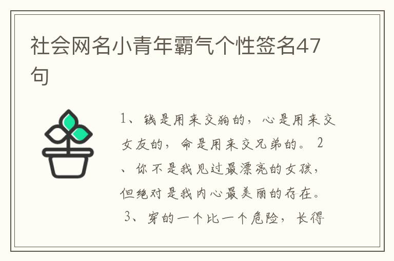 社會網(wǎng)名小青年霸氣個性簽名47句