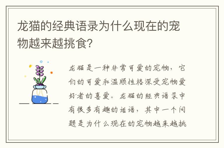 龍貓的經(jīng)典語錄為什么現(xiàn)在的寵物越來越挑食？