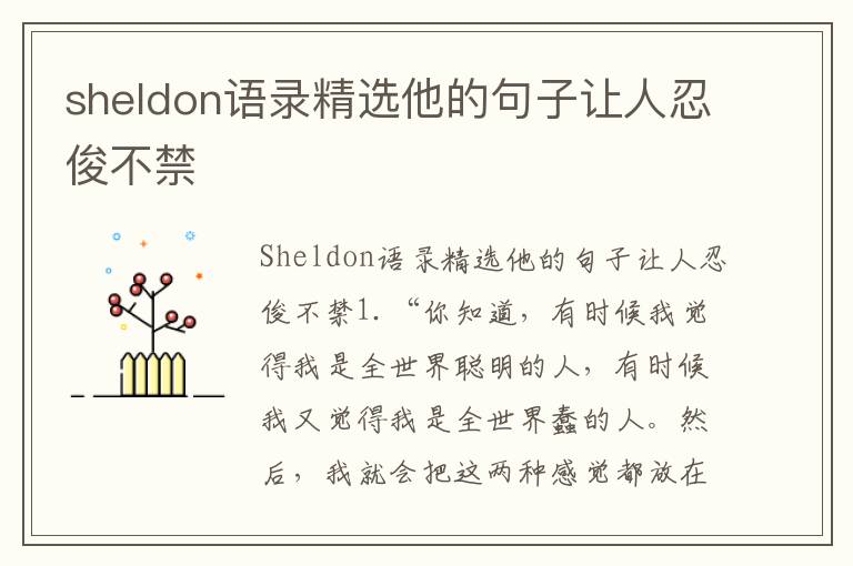 sheldon語(yǔ)錄精選他的句子讓人忍俊不禁