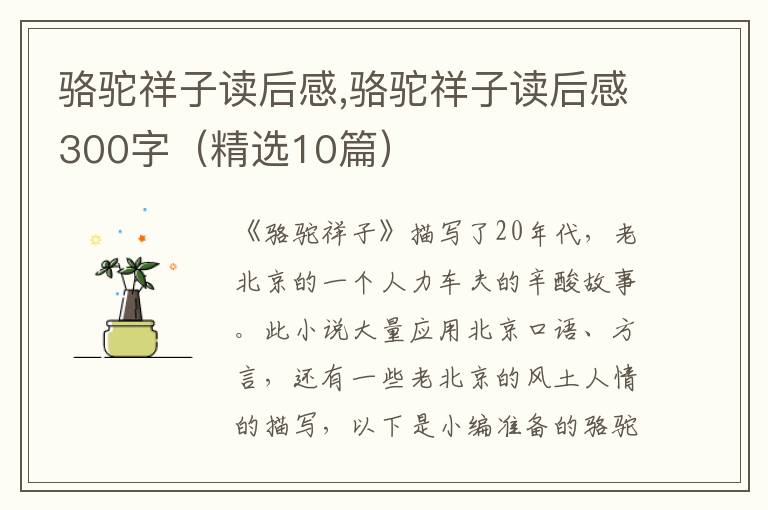 駱駝祥子讀后感,駱駝祥子讀后感300字（精選10篇）