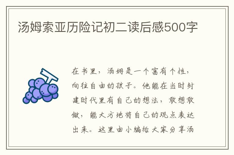 湯姆索亞歷險記初二讀后感500字