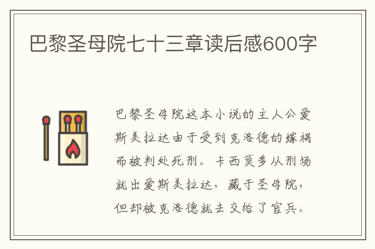 巴黎圣母院七十三章讀后感600字