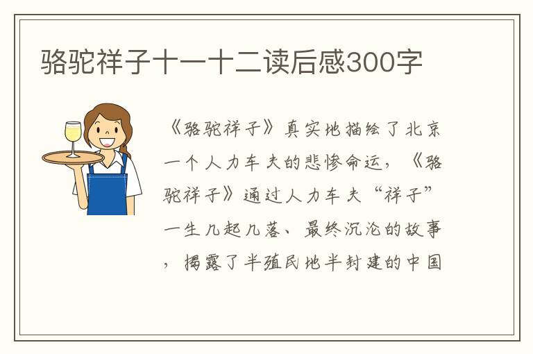 駱駝祥子十一十二讀后感300字