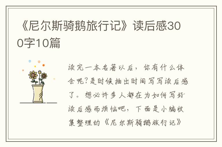 《尼爾斯騎鵝旅行記》讀后感300字10篇