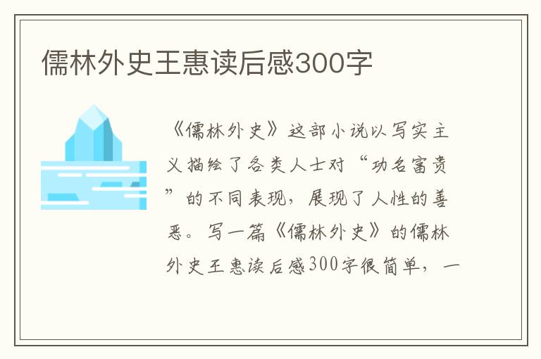 儒林外史王惠讀后感300字