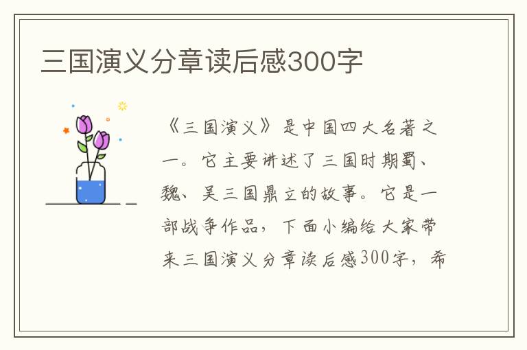 三國演義分章讀后感300字