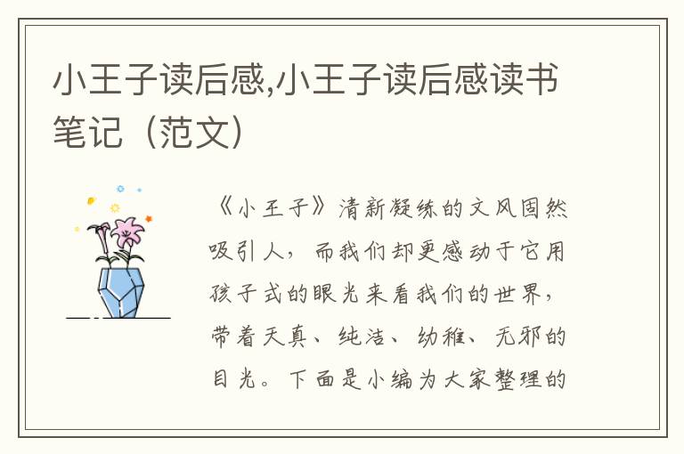 小王子讀后感,小王子讀后感讀書筆記（范文）