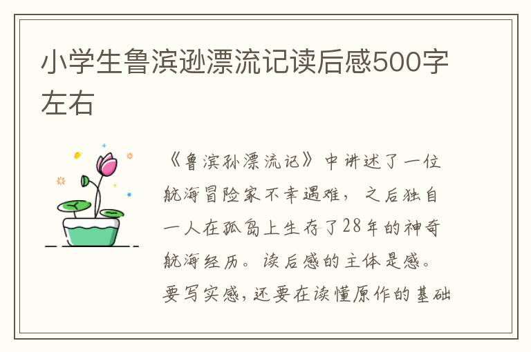 小學(xué)生魯濱遜漂流記讀后感500字左右