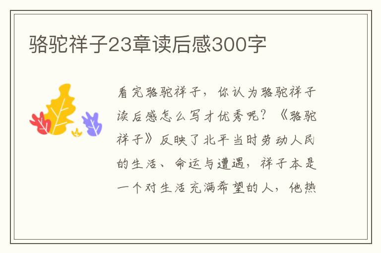 駱駝祥子23章讀后感300字