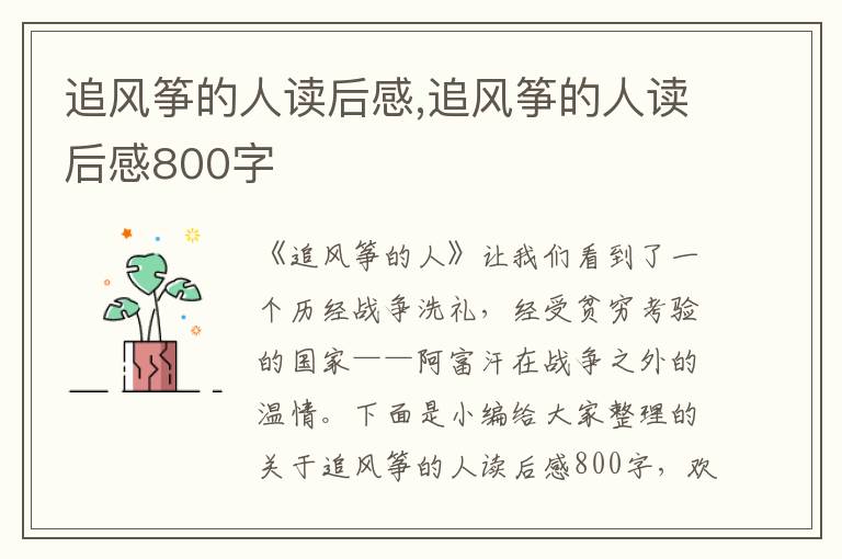 追風(fēng)箏的人讀后感,追風(fēng)箏的人讀后感800字