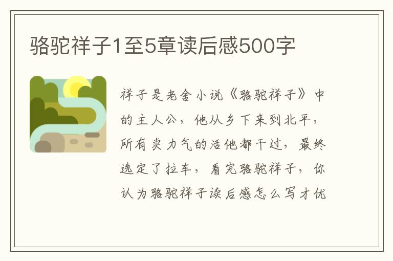 駱駝祥子1至5章讀后感500字