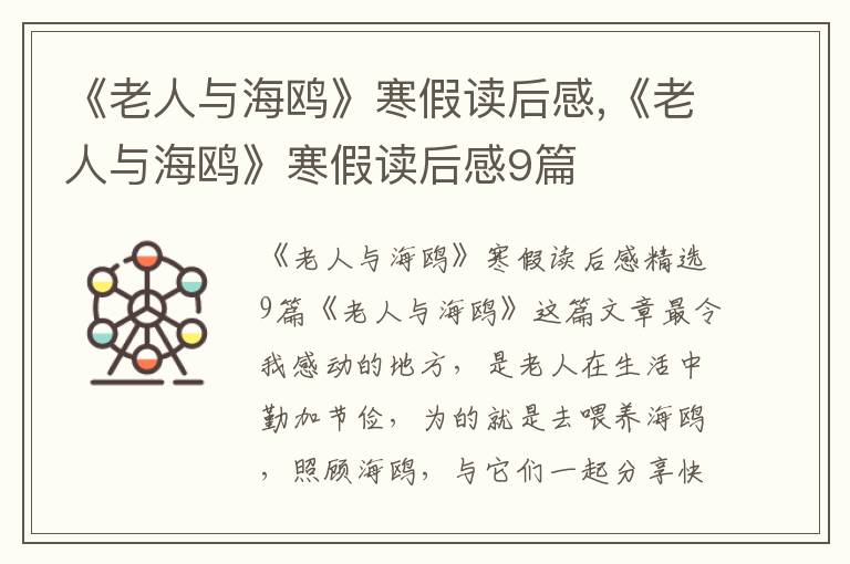 《老人與海鷗》寒假讀后感,《老人與海鷗》寒假讀后感9篇