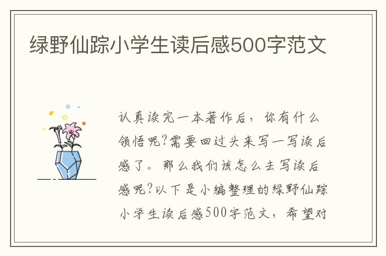 綠野仙蹤小學(xué)生讀后感500字范文