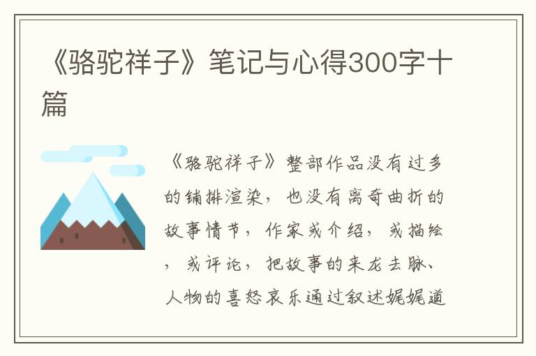 《駱駝祥子》筆記與心得300字十篇