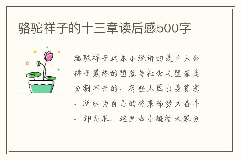 駱駝祥子的十三章讀后感500字