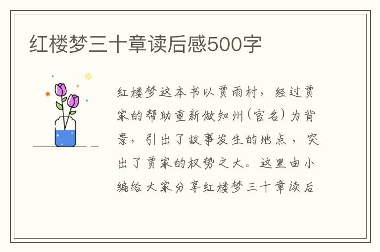 紅樓夢三十章讀后感500字