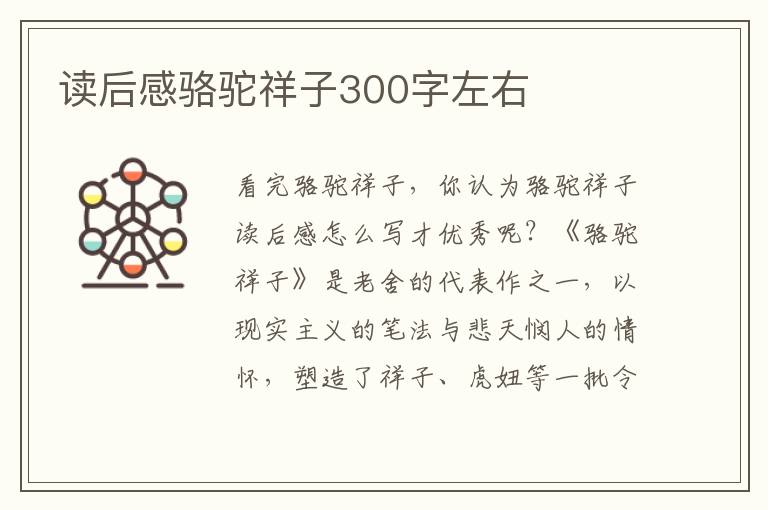 讀后感駱駝祥子300字左右