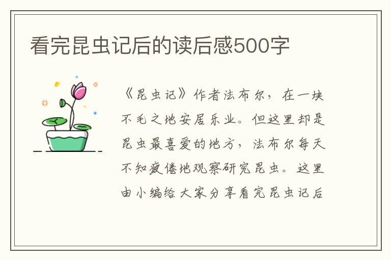 看完昆蟲記后的讀后感500字