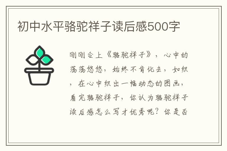 初中水平駱駝祥子讀后感500字