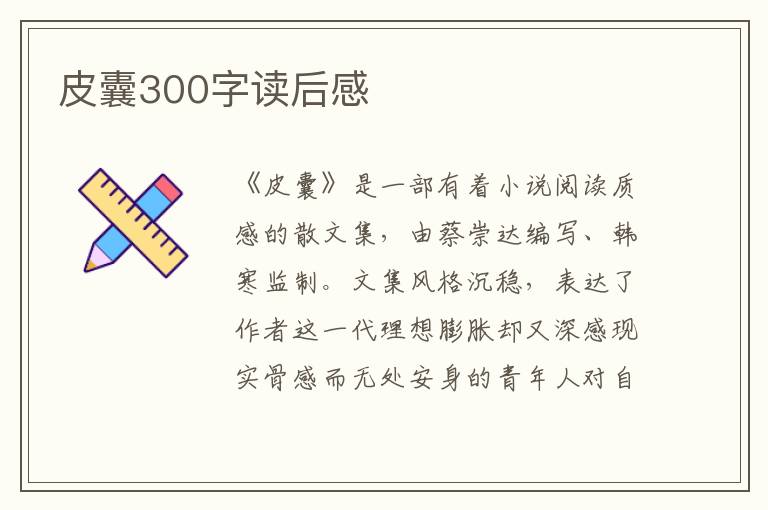 皮囊300字讀后感