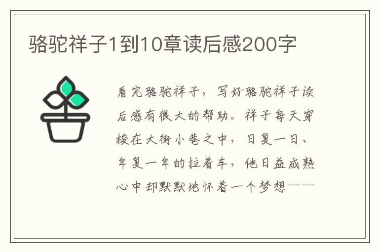 駱駝祥子1到10章讀后感200字