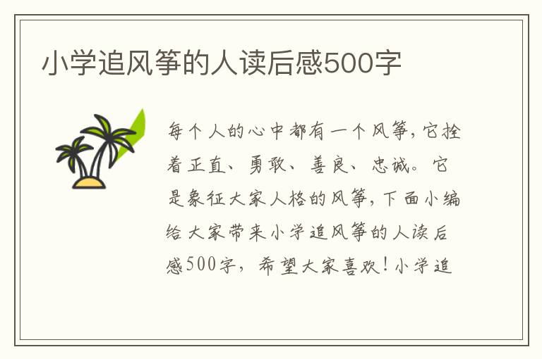 小學(xué)追風(fēng)箏的人讀后感500字