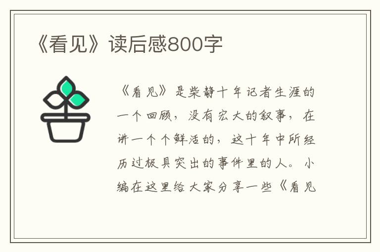 《看見(jiàn)》讀后感800字