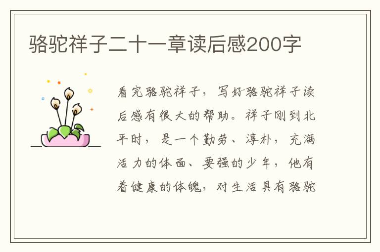 駱駝祥子二十一章讀后感200字