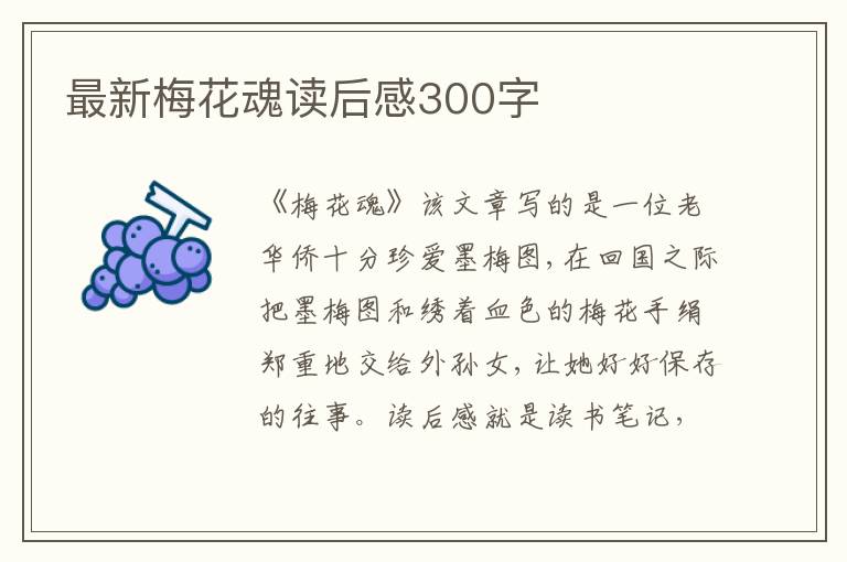 最新梅花魂讀后感300字