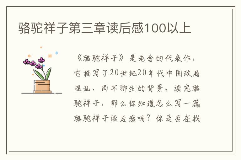 駱駝祥子第三章讀后感100以上