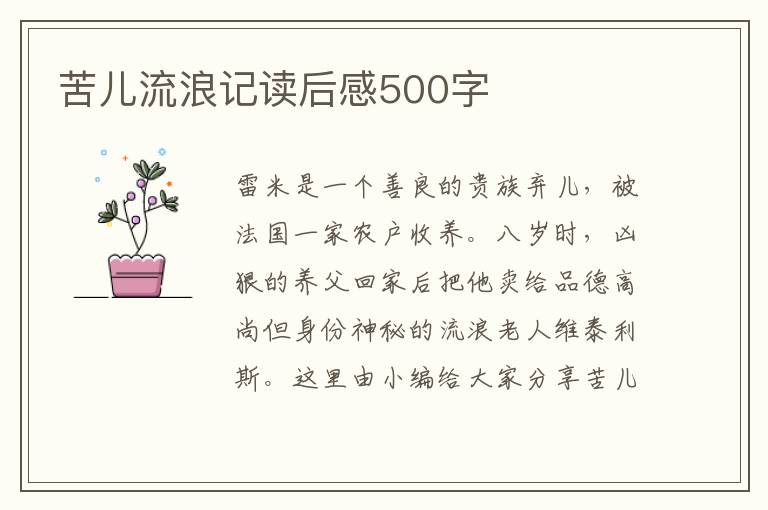 苦兒流浪記讀后感500字