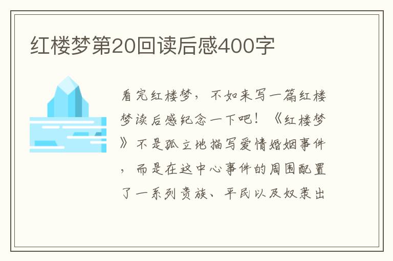 紅樓夢第20回讀后感400字