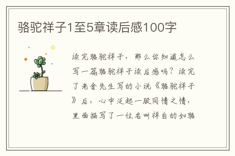 駱駝祥子1至5章讀后感100字