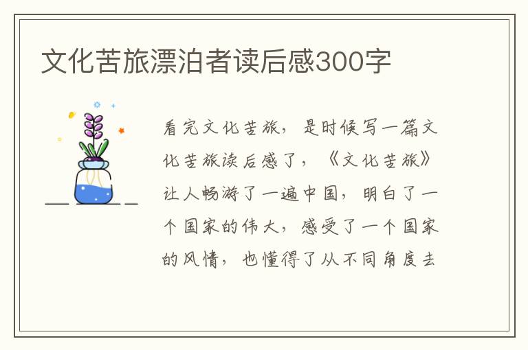 文化苦旅漂泊者讀后感300字