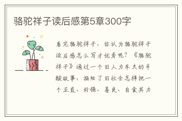 駱駝祥子讀后感第5章300字