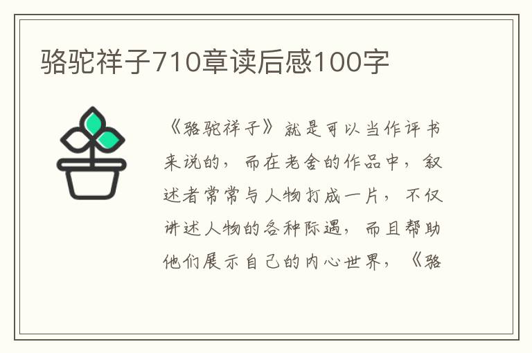 駱駝祥子710章讀后感100字