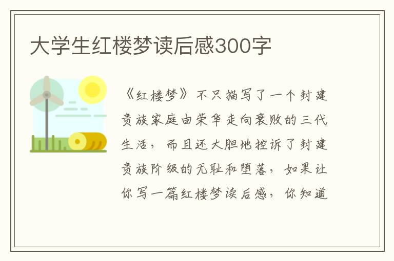 大學(xué)生紅樓夢(mèng)讀后感300字