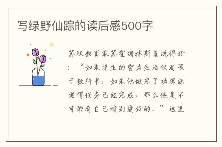 寫綠野仙蹤的讀后感500字