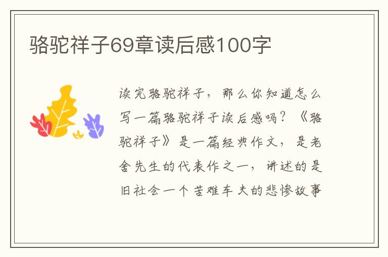 駱駝祥子69章讀后感100字