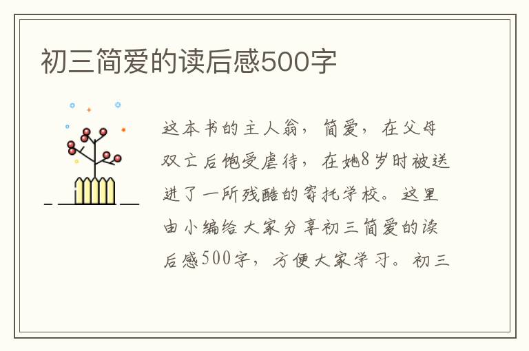 初三簡(jiǎn)愛的讀后感500字