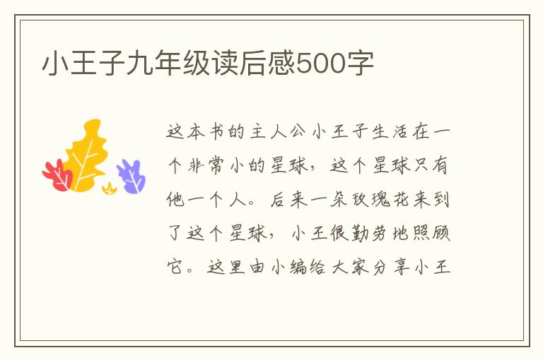 小王子九年級讀后感500字