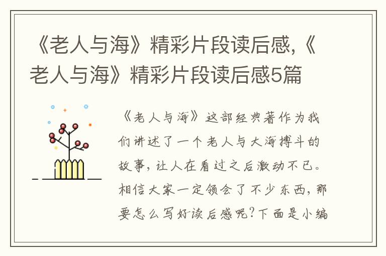 《老人與?！肪势巫x后感,《老人與?！肪势巫x后感5篇