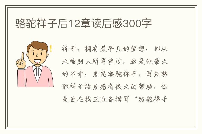 駱駝祥子后12章讀后感300字