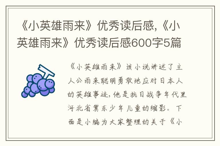 《小英雄雨來》優(yōu)秀讀后感,《小英雄雨來》優(yōu)秀讀后感600字5篇