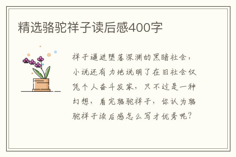 精選駱駝祥子讀后感400字