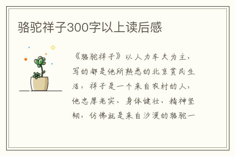 駱駝祥子300字以上讀后感