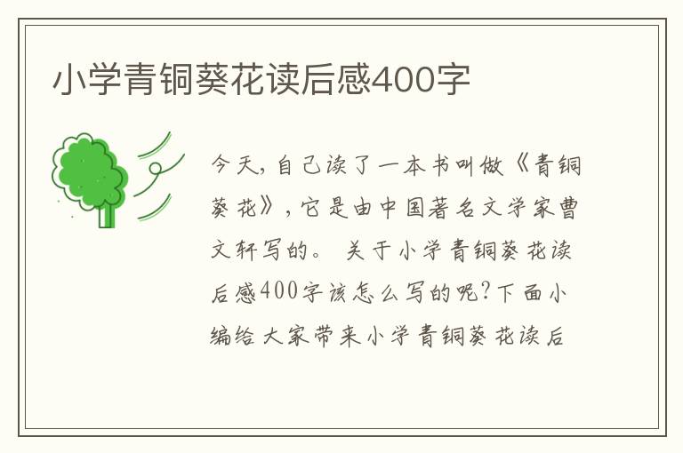 小學青銅葵花讀后感400字