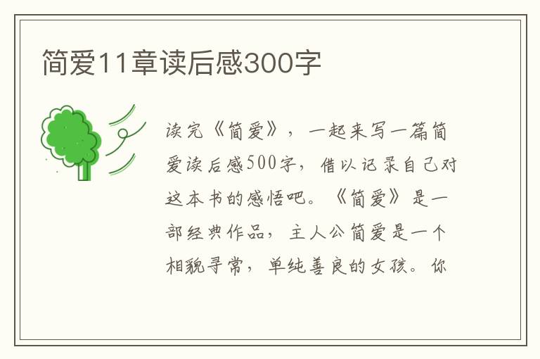 簡愛11章讀后感300字