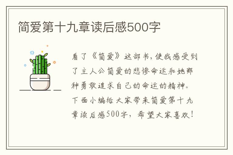 簡愛第十九章讀后感500字