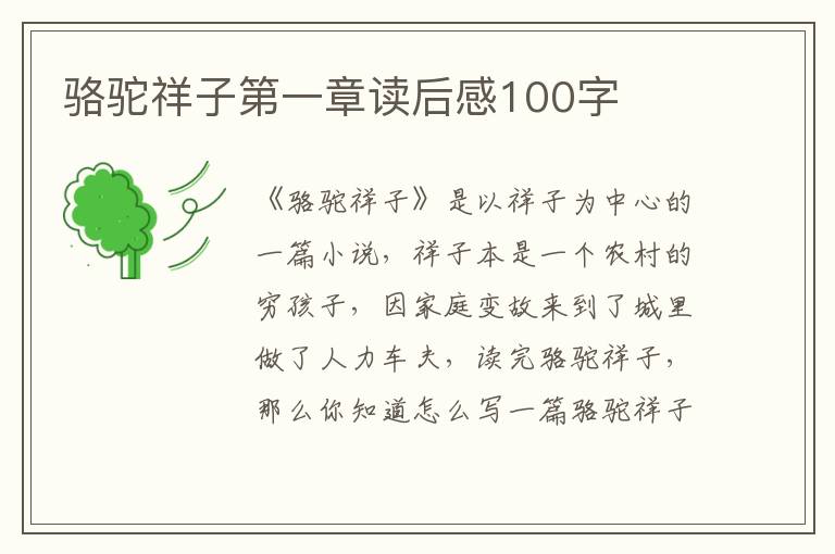 駱駝祥子第一章讀后感100字